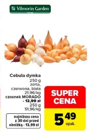 Cebula dymka żółta, czerwona, biała