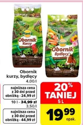 Obornik kurzy, bydlęcy