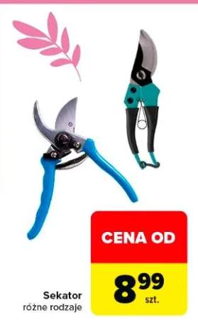 Sekator różne rodzaje