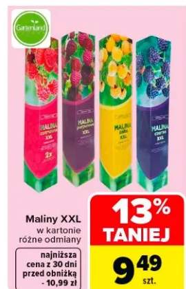 Maliny XXL w kartonie różne odmiany