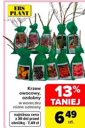 Krzew owocowy, ozdobny w woreczku różne odmiany