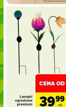 Lampki ogrodowe premium różne rodzaje