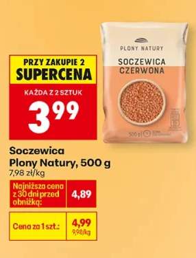 Soczewica czerwona