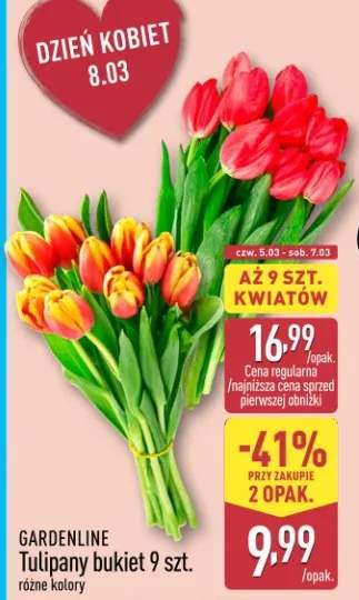 Tulipany bukiet 9 szt. różne kolory