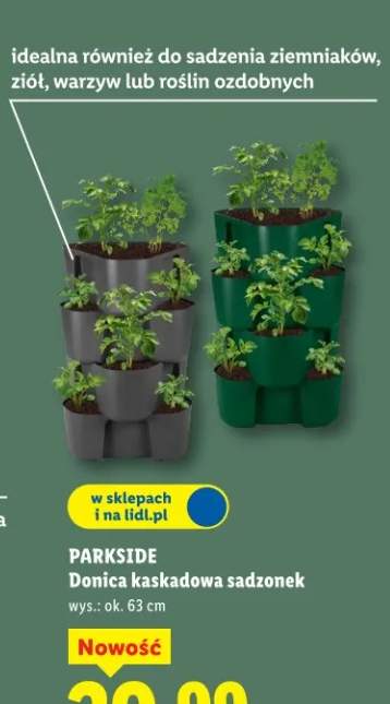 Donica kaskadowa sadzonek wys.: ok. 63cm