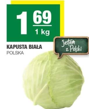 Kapusta biała