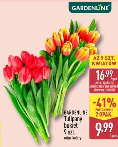 Tulipany bukiet 9 szt. różne kolory