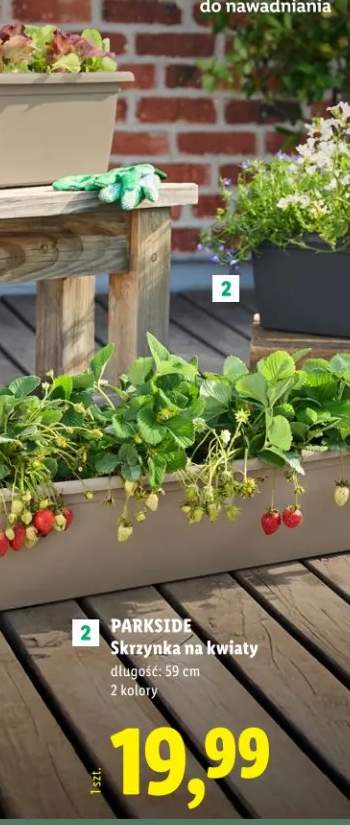 Skrzynka na kwiaty długość: 59cm