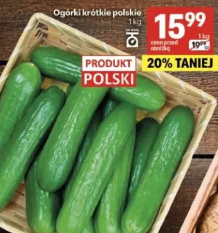 Ogórki krótkie polskie