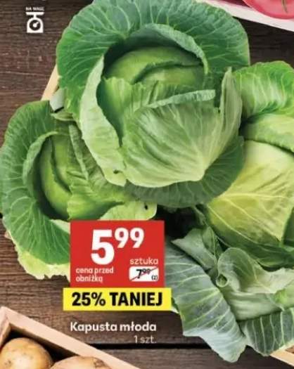 Kapusta młoda