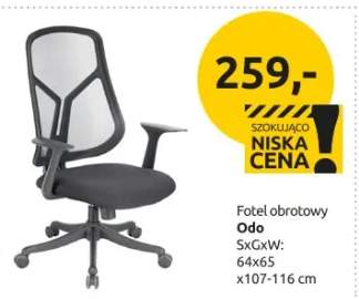 Fotel obrotowy Odo