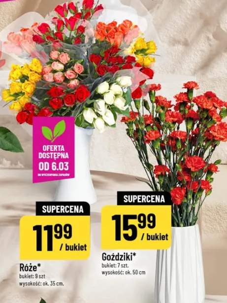 Goździki bukiet 7 szt.