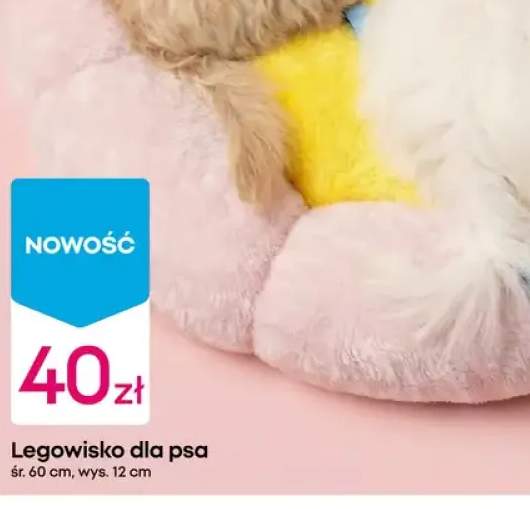 legowisko dla zwierząt