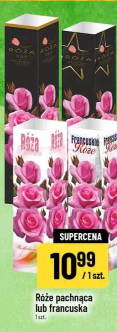 Róże pachnąca lub francuska