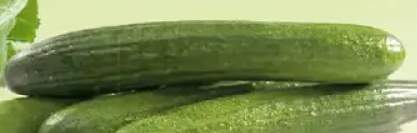 Ogórek długi