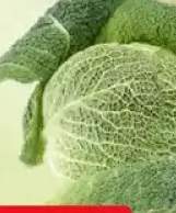 Kapusta włoska
