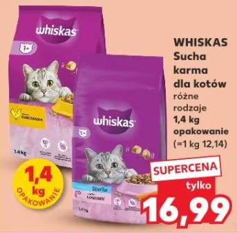 Sucha karma dla kotów różne rodzaje