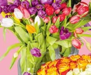 Tulipany bukiet jedno- lub wielokolorowy