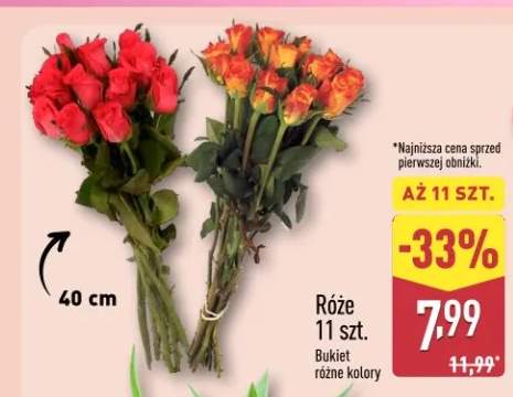 Róże 11 szt. bukiet różne kolory