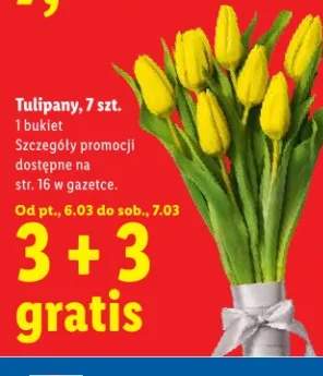 Tulipany