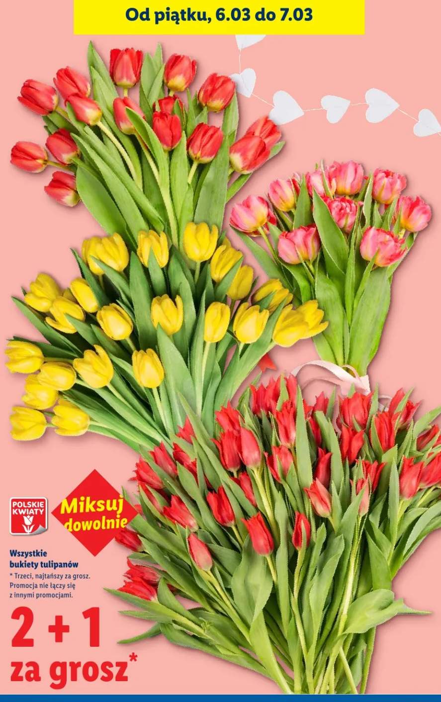 tulipany bukiet
