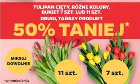 Tulipan cięty, różne kolory bukiet 7 szt.