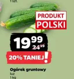 Ogórek gruntowy luz
