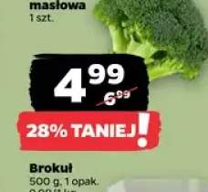 Brokuł