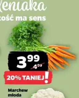 Marchew młoda
