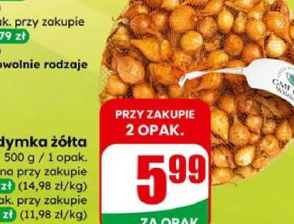 Cebula dymka żółta