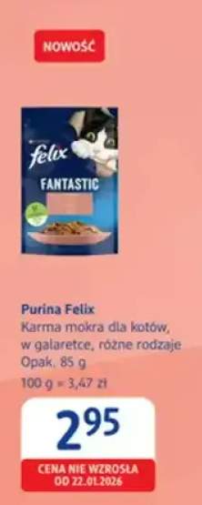 Karma mokra dla kotów, w galarecie, różne rodzaje