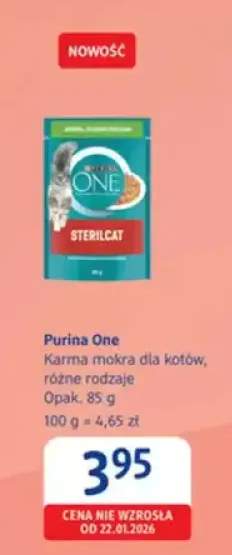 Karma mokra dla kotów, różne rodzaje