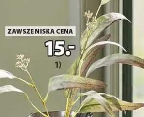 Roślina sztuczna Jakob