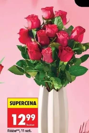 Róża bukiet 11 szt.