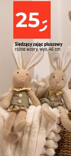 zajączek wielkanocny
