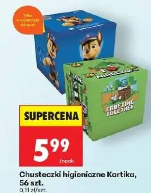 Chusteczki higieniczne Psi Patrol