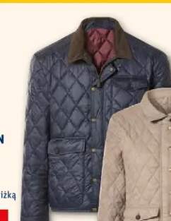 Kurtka damska lub męska