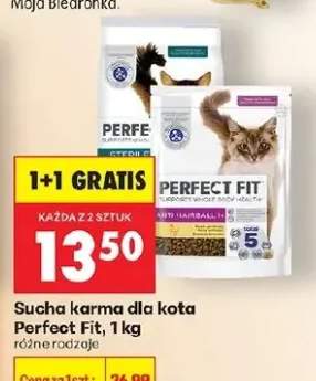 Sucha karma dla kota różne rodzaje