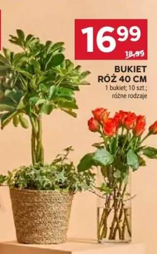 Bukiet róż 40 cm