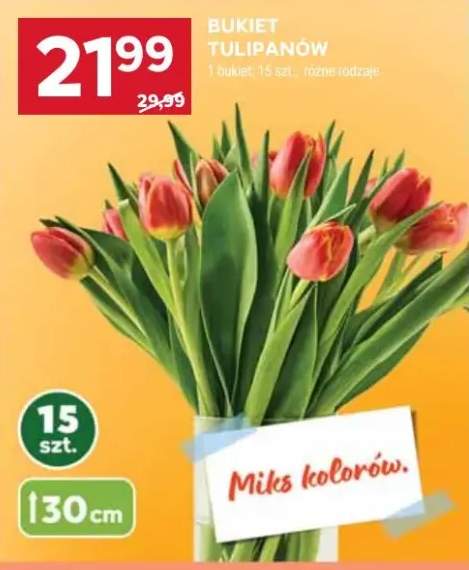 tulipany bukiet