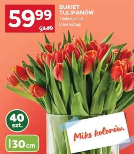 tulipany bukiet
