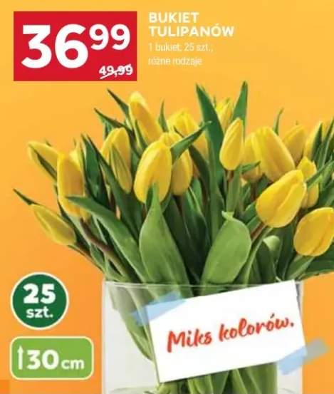 tulipany bukiet