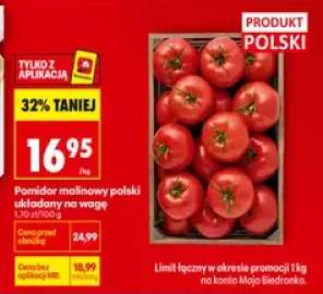 Pomidor malinowy polski uložony na krzakach