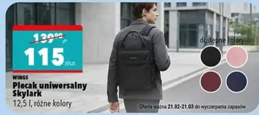 Plecak uniwersalny Skylark 17,5", różne kolory
