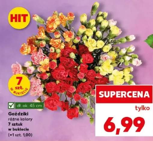 Goździki różne kolory