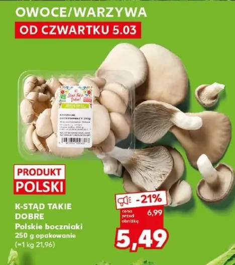 Pieczarki polskie boczniaki
