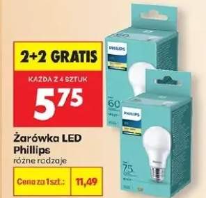 Żarówka LED różne rodzaje