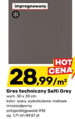 Gres techniczny Salti Grey