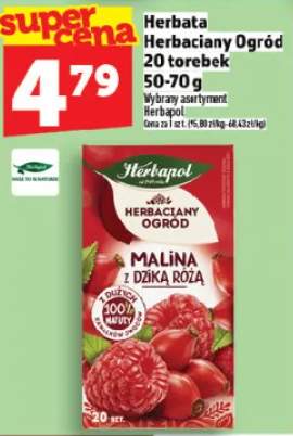 Herbata Herbapol Herbaciany Ogród malina z dzika różą