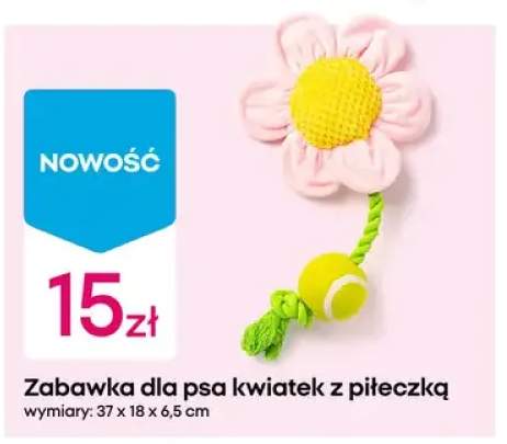 Zabawka dla psa kwiatek z piłeczką